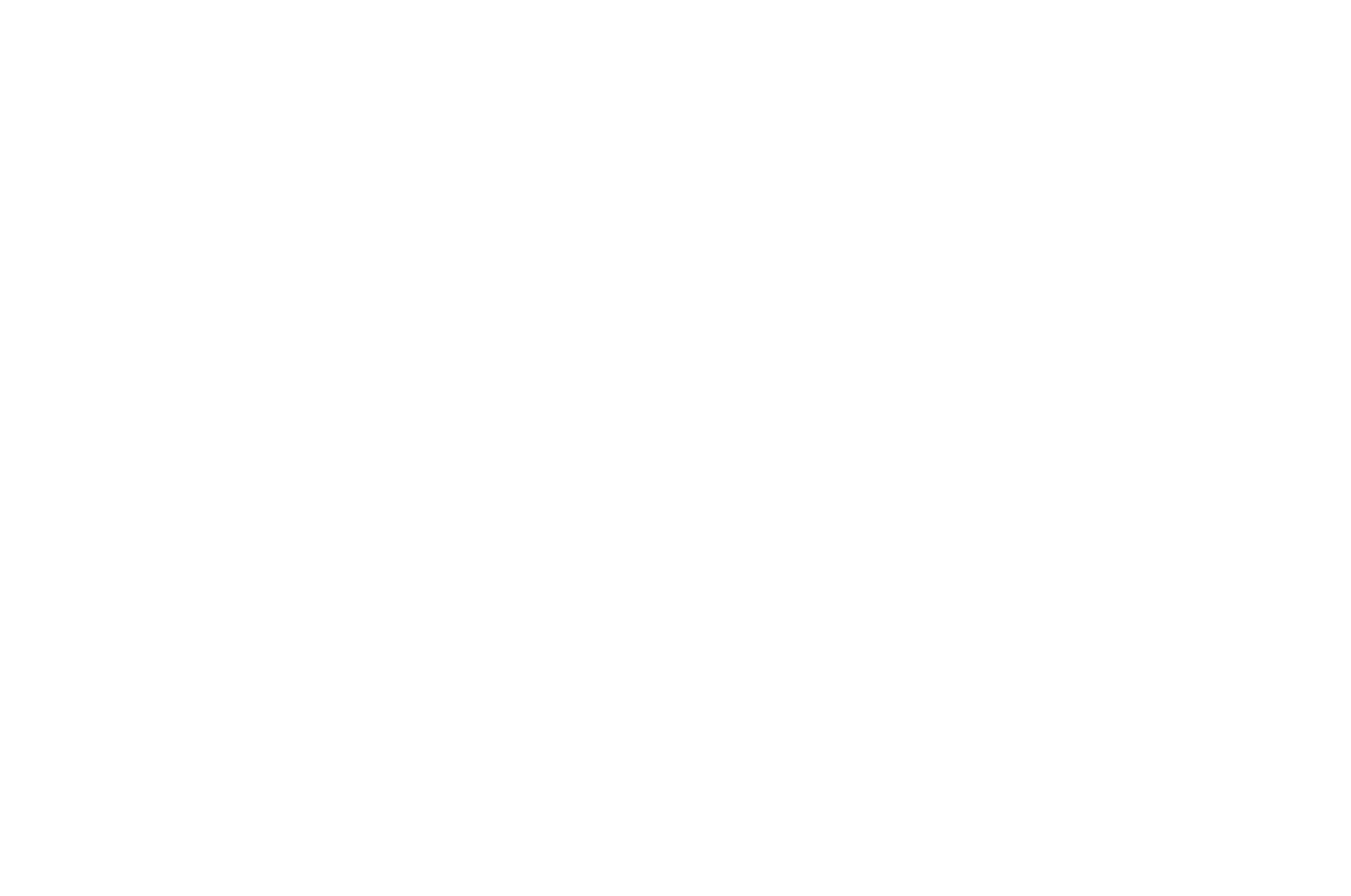 Official selection black cat festival