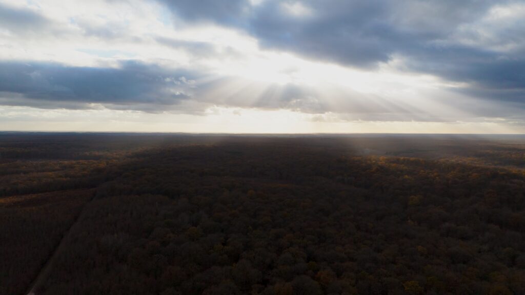 drone forêt amboise